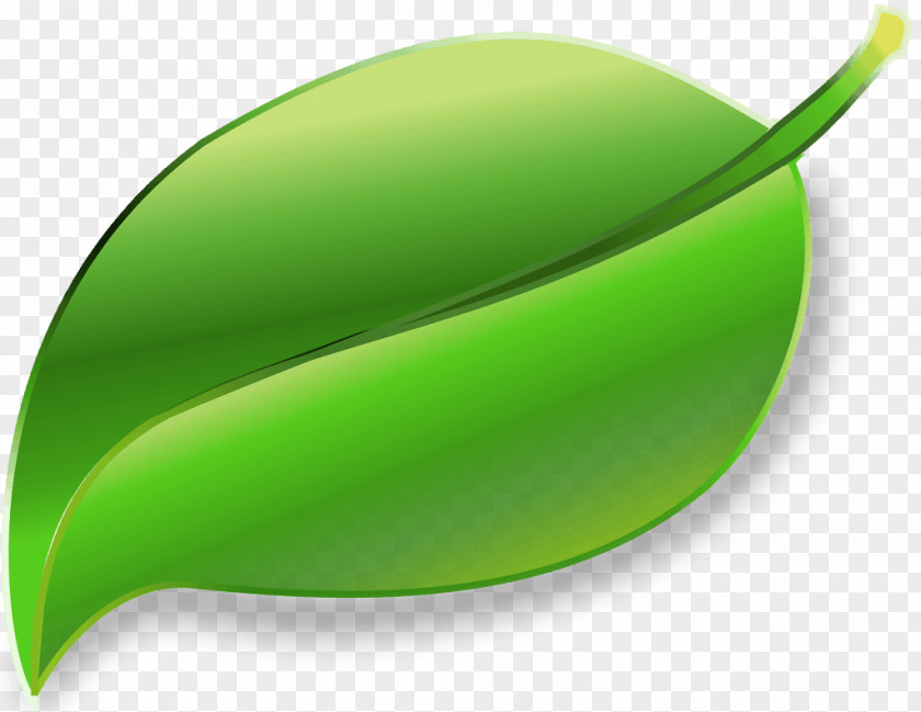 Wellness Leaf Plant PNG