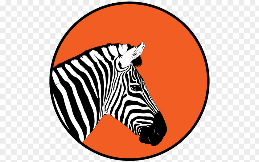 Zebra Art Illustrator Clip PNG