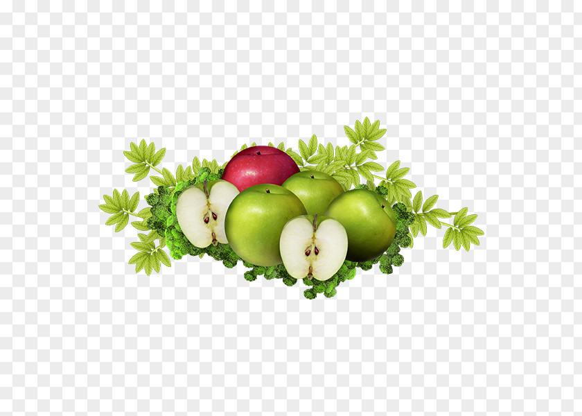 Creative Green Apple Download Computer File PNG