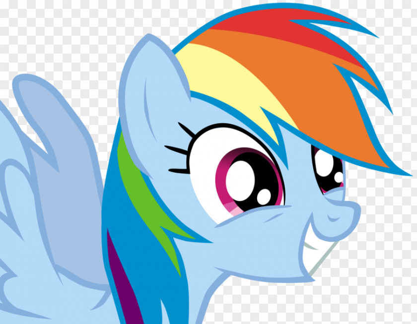 Dash Rainbow Princess Cadance My Little Pony: Friendship Is Magic Fandom PNG