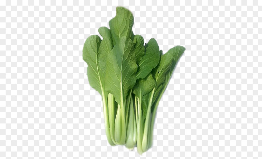 Herb Celtuce Green Leaf Background PNG