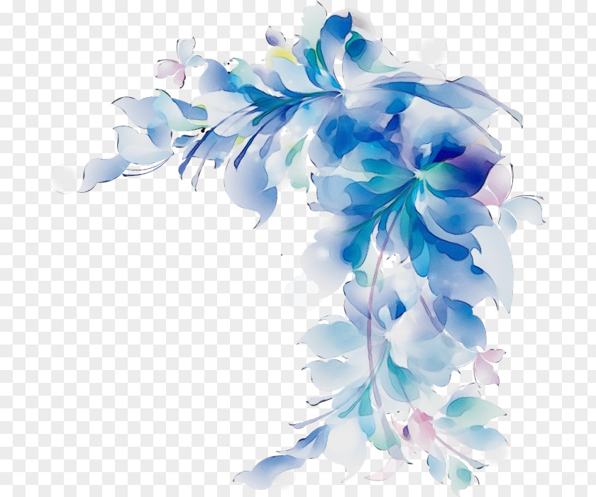 Hydrangea Flowering Plant Blue Flower Cut Flowers Petal PNG