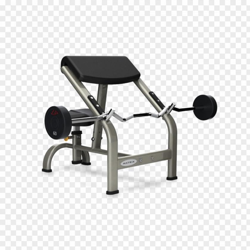 Sports Equipment Bench Biceps Curl Weight Training Exercise Strength PNG