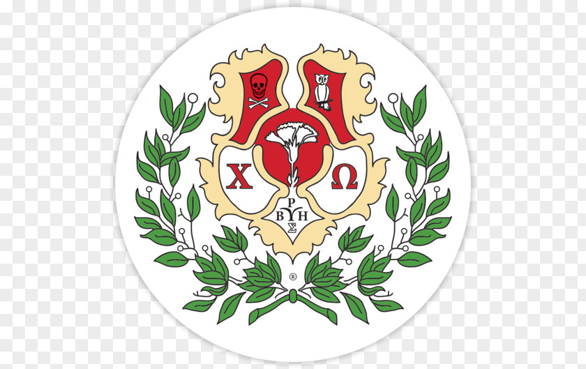Chi Omega University Of Arkansas South Florida National Panhellenic Conference Fraternities And Sororities PNG