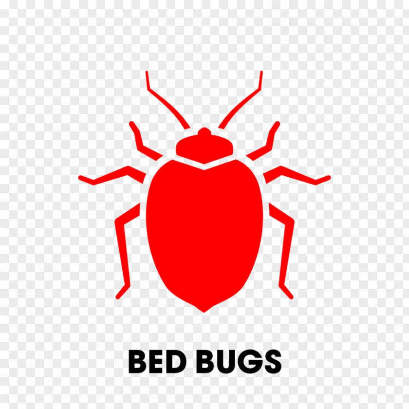 Cockroach Bed Bug Control Techniques Pest Bite PNG