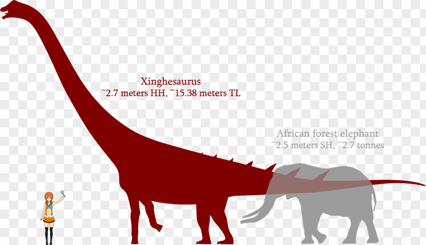 Dinosaur Sauropods Bone Wars Xinghesaurus Argentinosaurus PNG