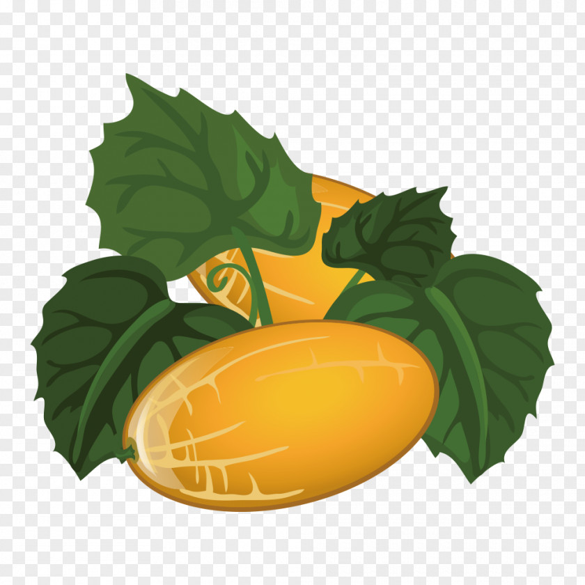 Melon Canary Fruit Cantaloupe PNG