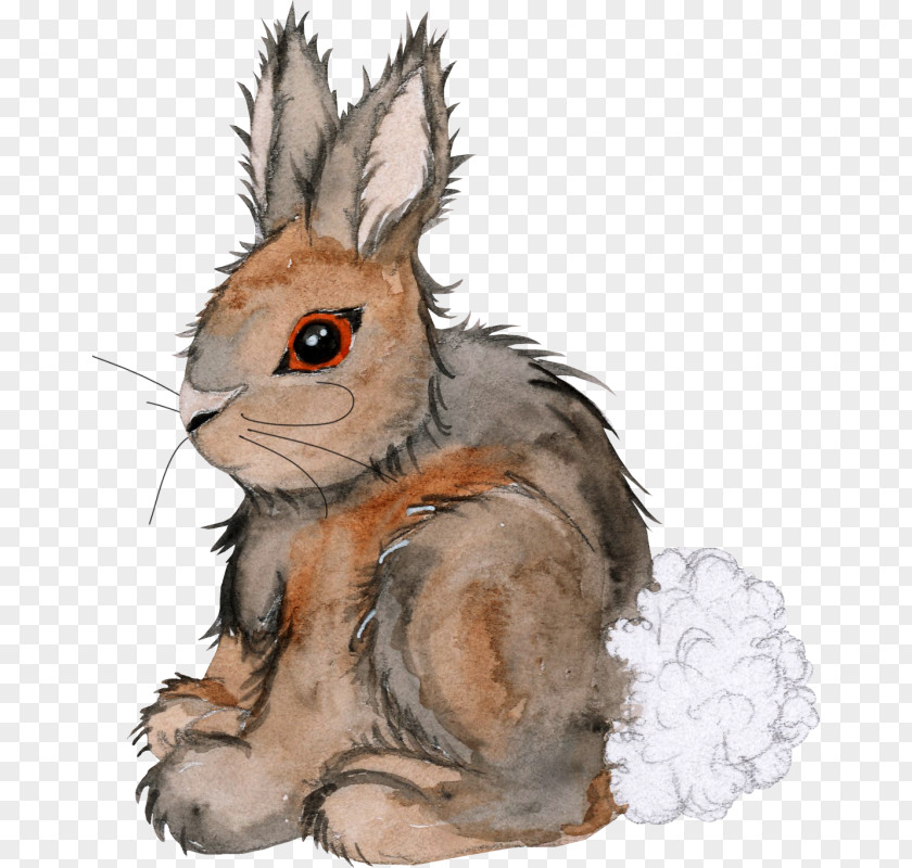 Rabbit Domestic Hare Rodent Clip Art PNG