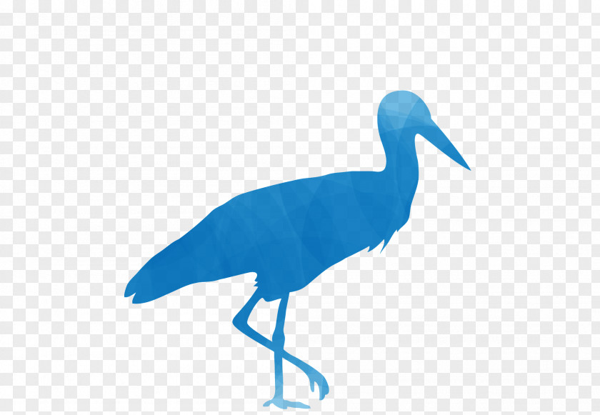 Stork Crane Bird Cobalt Blue Beak PNG