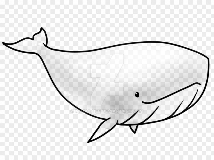 Whale Porpoise Killer Narwhal PNG