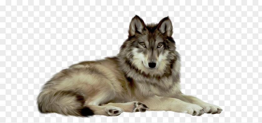 Gray Wolf Clip Art PNG