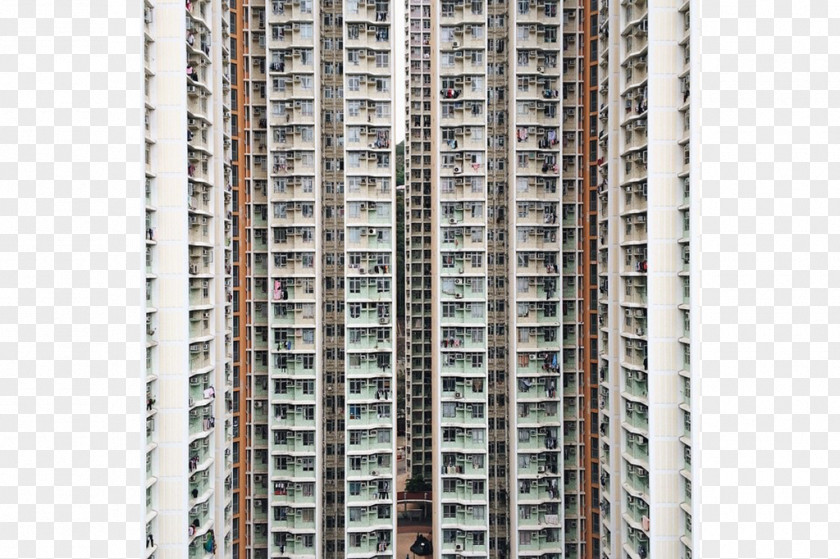 Hong Kong China Photography Photographer Kowloon PNG