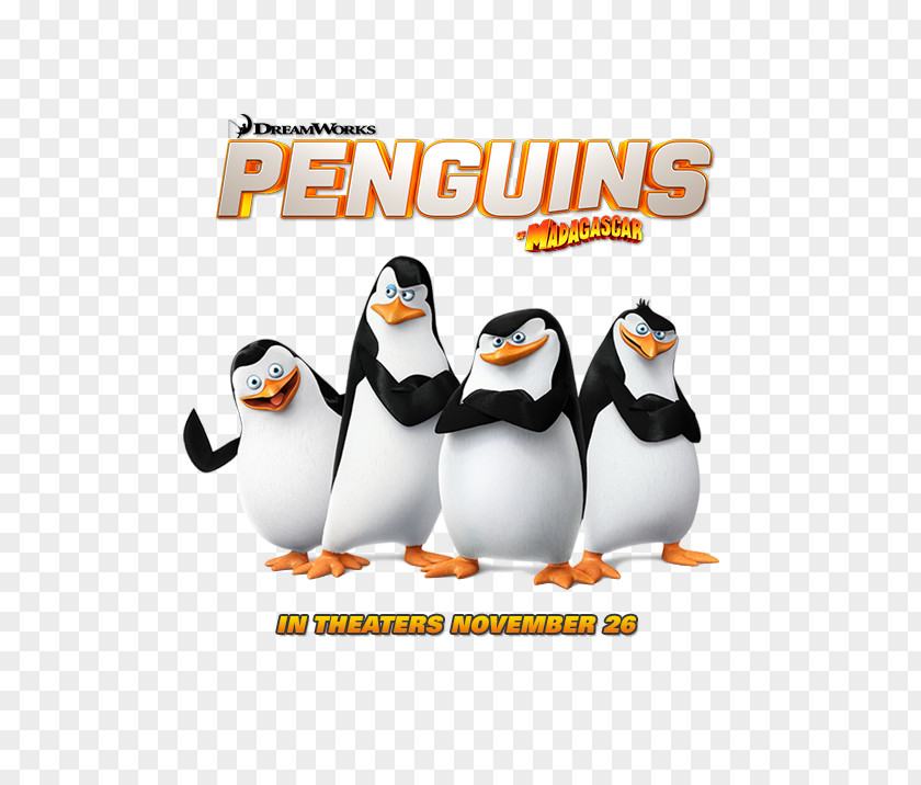 Madagascar Penguins Kowalski Skipper Desktop Wallpaper Film PNG