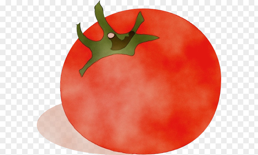 Nightshade Family Vegetable Red Christmas Ornament PNG