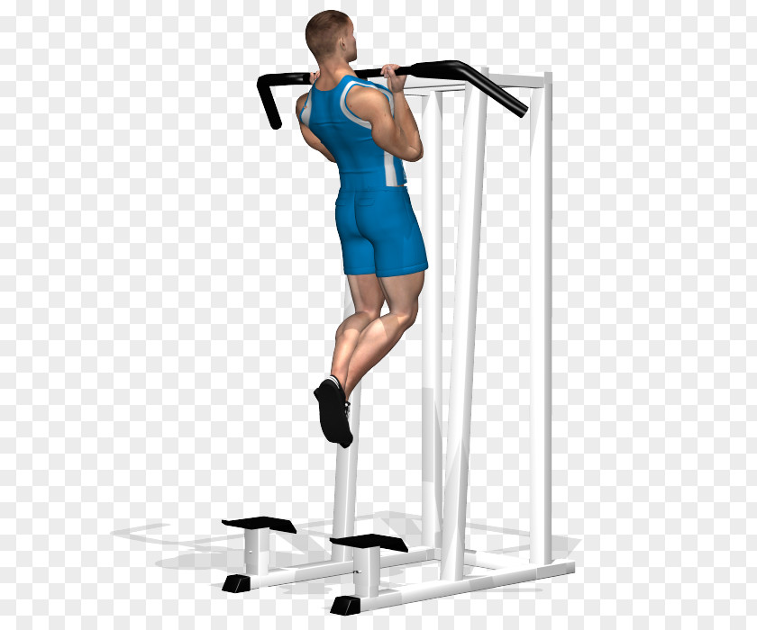 Pull-up Exercise Arm Shoulder Human Leg PNG leg, creative chin clipart PNG