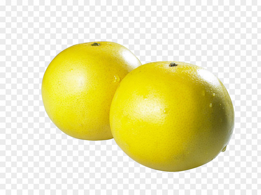 Two Grapefruit Lemon Pomelo Citrus Junos PNG