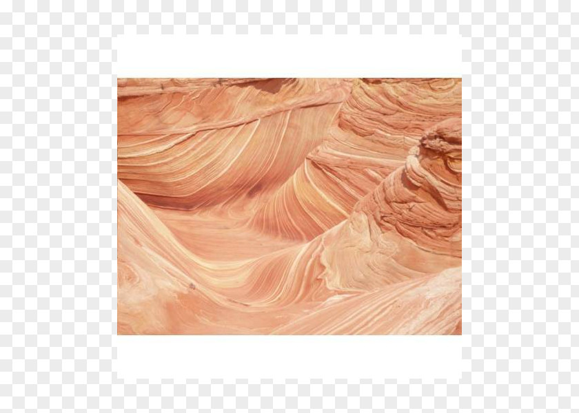 Wood The Wave Coyote Buttes Silk /m/083vt PNG
