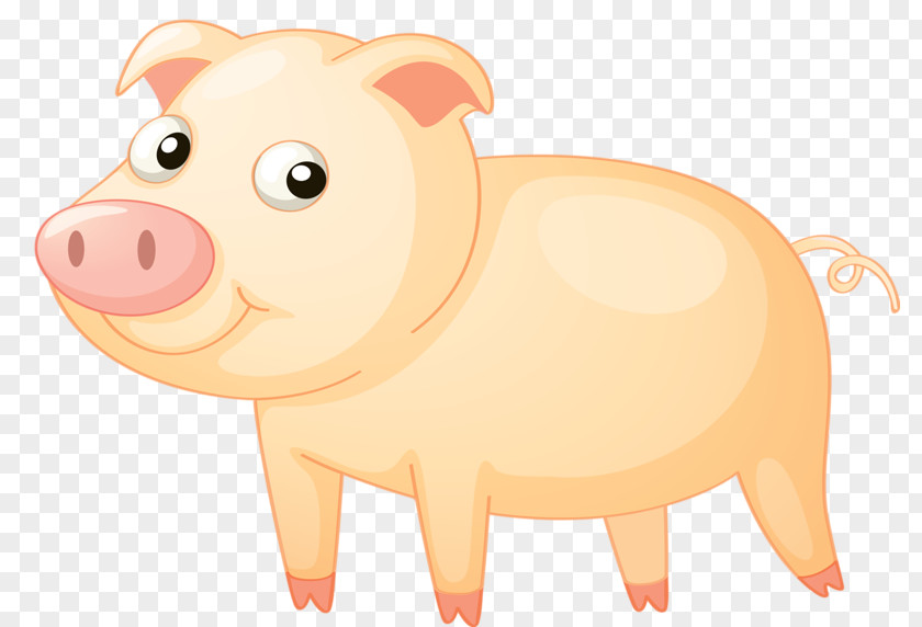 A Pig Clip Art PNG