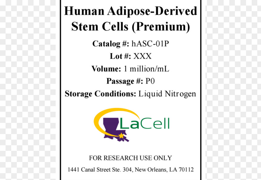 Adipose Cell Document Stem Organism Line PNG