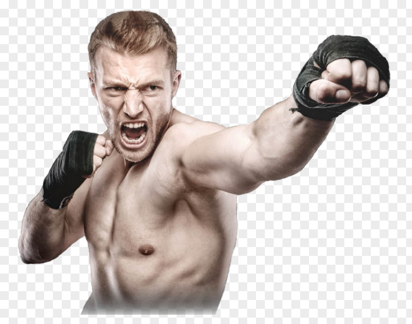 Bodybuilding Stock Photography Exercise Physical Fitness Men's PNG