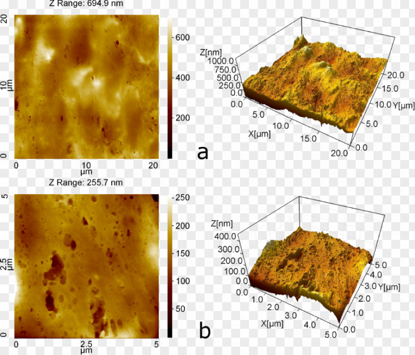 Bulk Modulus Human Skin Surface Finish Atomic Force Microscopy Topography PNG