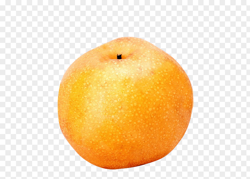Golden Pear Picture Material Clementine Asian Mandarin Orange Peel PNG
