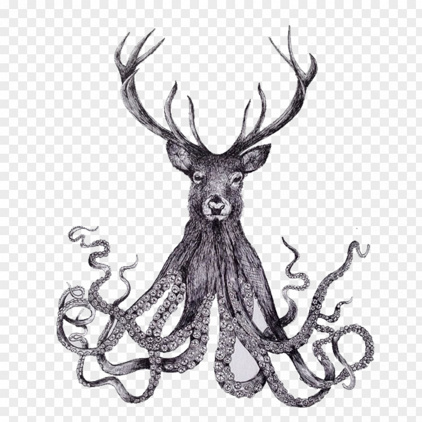 Hand Drawn Octopus Deer Paper Drawing Pen Illustrator Illustration PNG