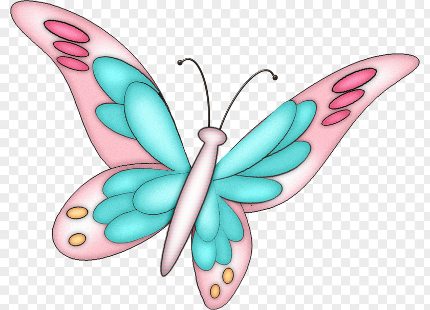 Happy Time Butterfly Clip Art PNG