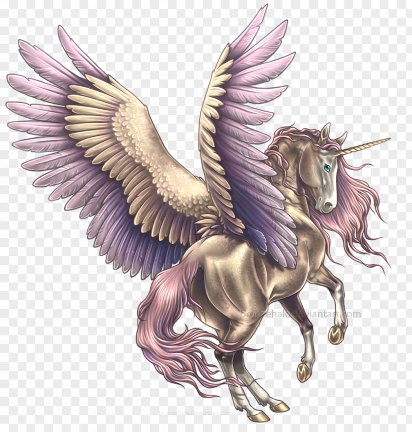 Pegasus Horse Winged Unicorn Drawing PNG
