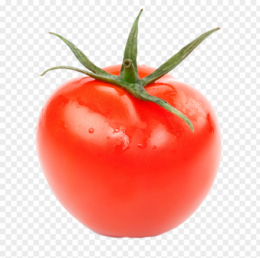 Tomatoes Cucumber Vegetable Tomato Fruit Eggplant PNG