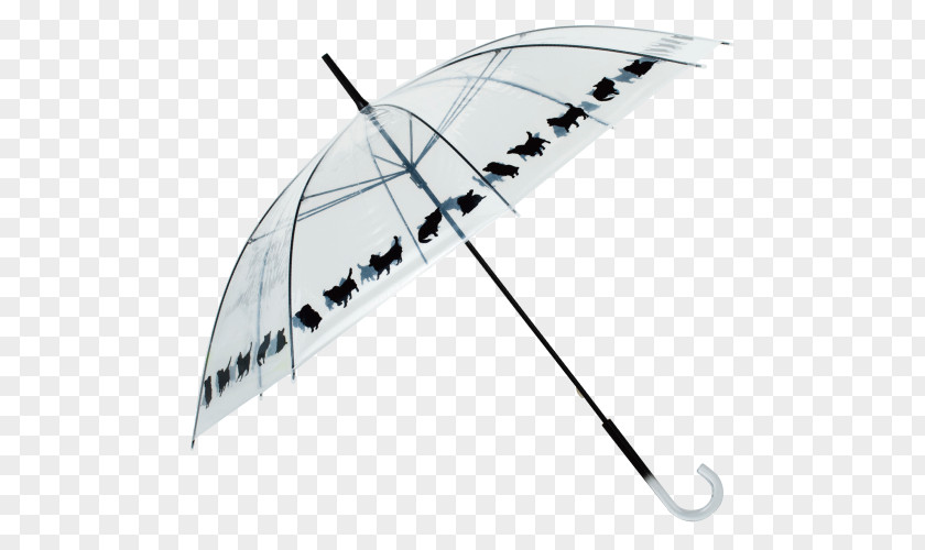 Umbrella Chihuahua Cainz Angle PNG