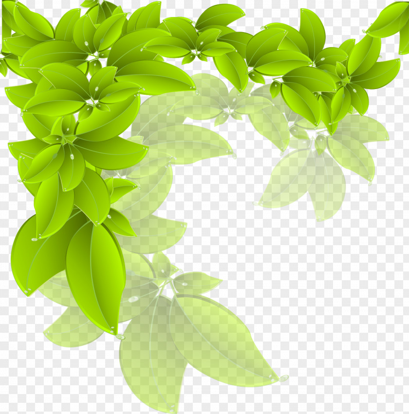 Vector Leaves Branch Green Leaf PNG