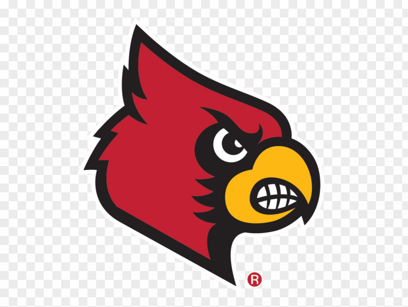 Basketball University Of Louisville Cardinals Men's Football NCAA Division I Women's PNG