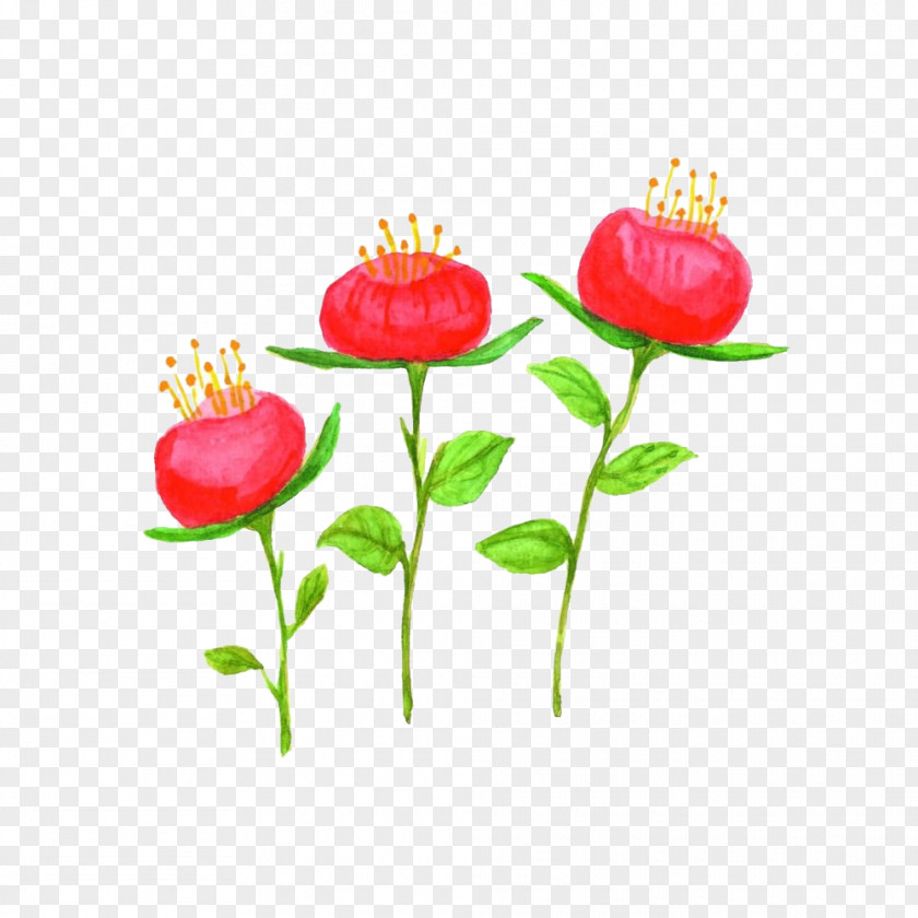 Delicate Flower Image Illustration Design PNG