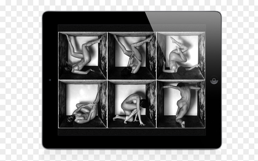 Elena Kaufmann Photography Design Picture Frames Multimedia Rectangle PNG