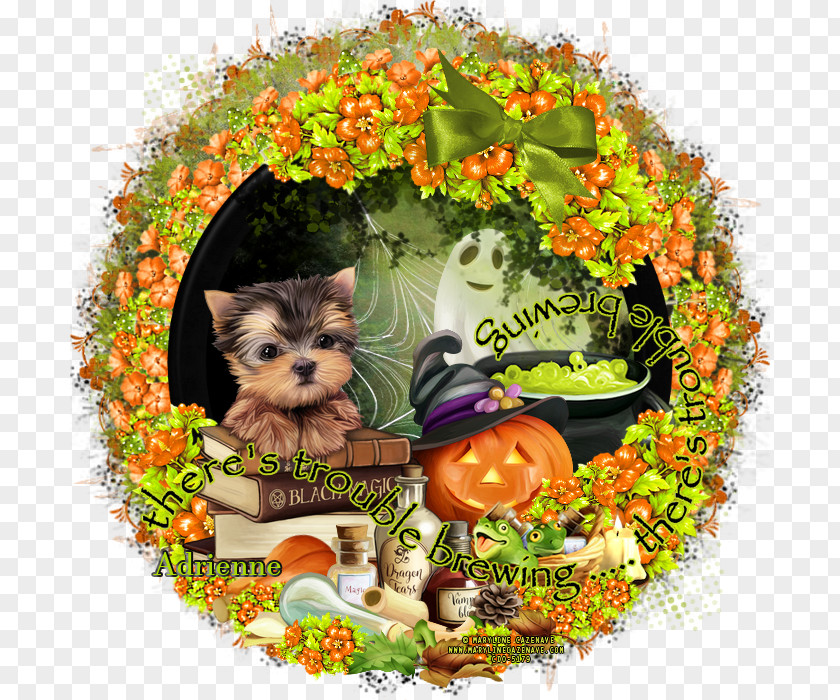 Puppy Yorkshire Terrier Dog Breed Secrets PNG