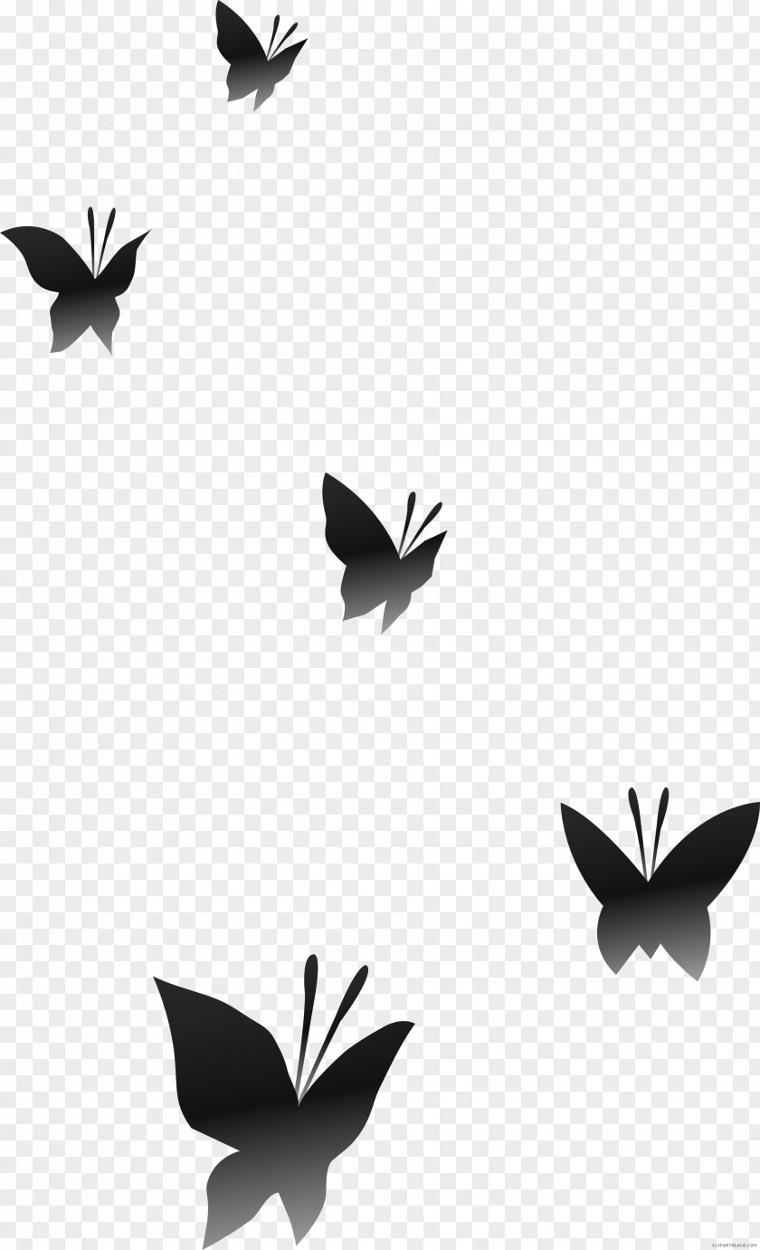 Butterfly Iv Start Clip Art Transparency Illustration Openclipart PNG