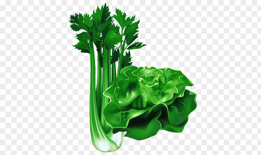 Cartoon Vegetables Leaf Vegetable Food PNG