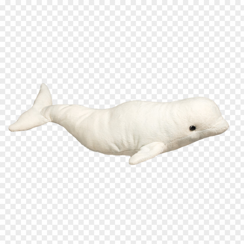 Child Tucuxi Beluga Whale Stuffed Animals & Cuddly Toys Cetacea PNG