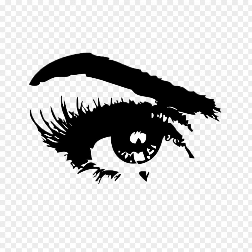 Eye Eyebrow Eyelash Clip Art PNG
