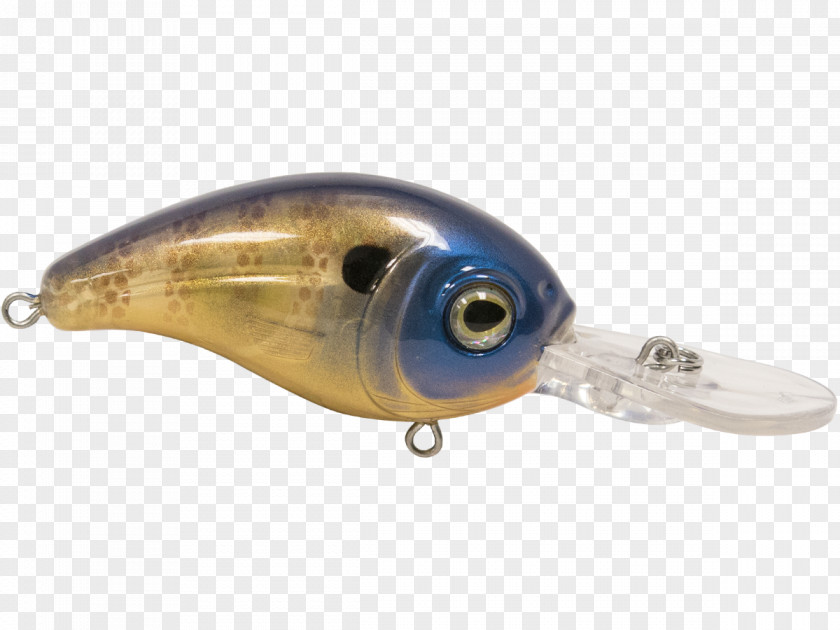 Fish Spoon Lure PNG