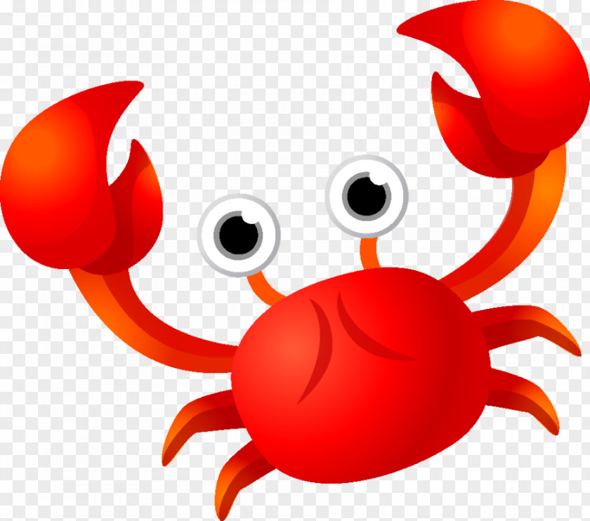 Flower Crab PNG crab , BABY SHARK, red illustration clipart PNG