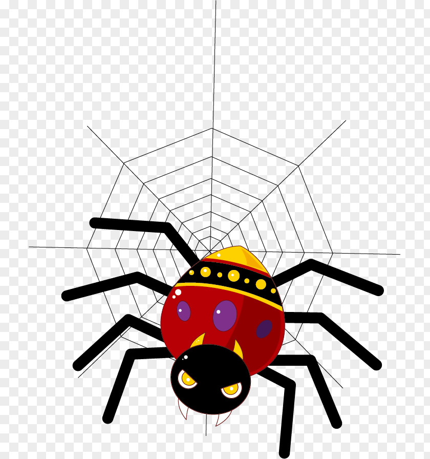 Flycatcher Spider Image Vector Graphics Cartoon Drawing PNG