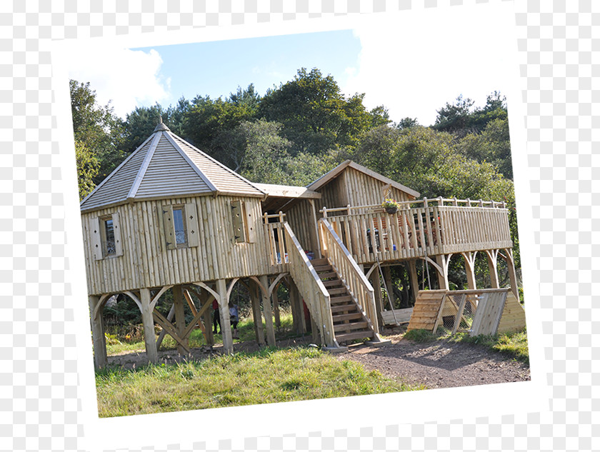 House Tree Building Cheeky Monkey Treehouses Ltd PNG