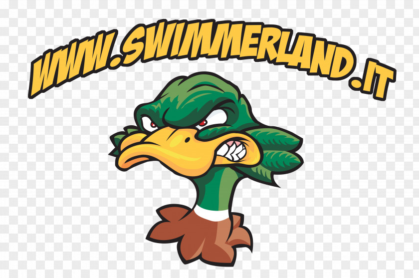 Master Swimmer Duck Mallard Bird Cartoon PNG