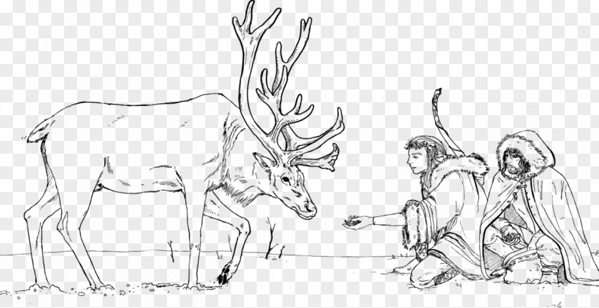 Reindeer Cattle Antler Sketch PNG