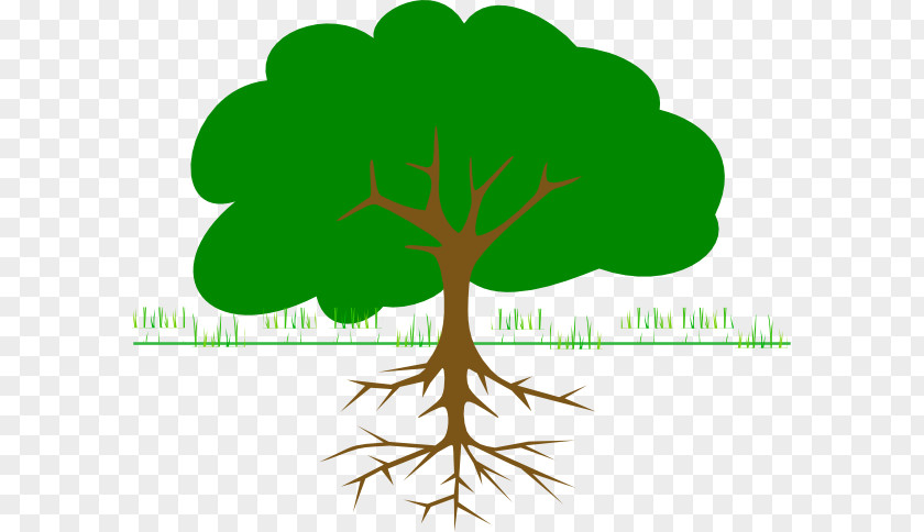 Tbi Graphic Clip Art Tree Trunk Openclipart PNG