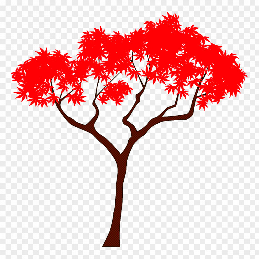Autumn Maple Tree PNG