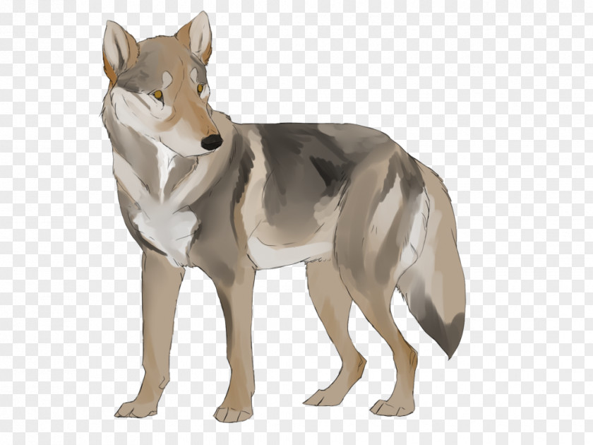 Fashion Personalized Fruit Shop Czechoslovakian Wolfdog Saarloos Coyote Dog Breed Red Wolf PNG