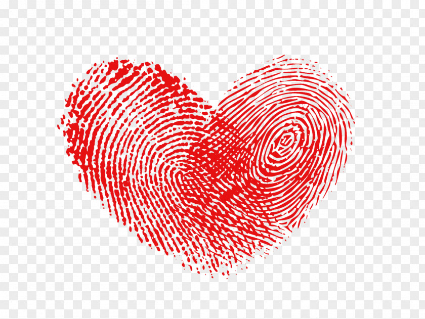 Fingerprint Heart Raster Graphics PNG